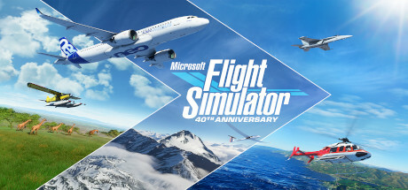 Home flight simulator Microsoft